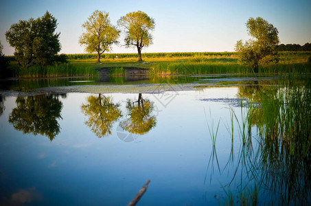 平静的水湖中绿树蓝天和云彩的倒影图片