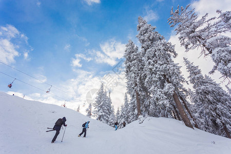 冬季人们在滑雪胜图片