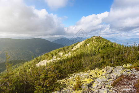 以蓝天空山丘和山林松树在地图片