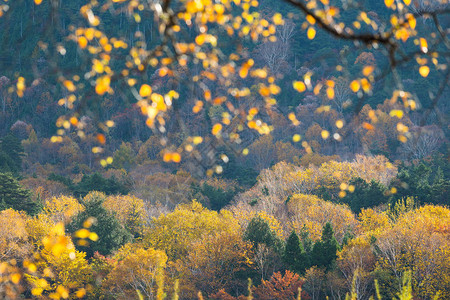 日本秋天的美丽风景图片