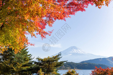 秋季的湖泊和富士山图片