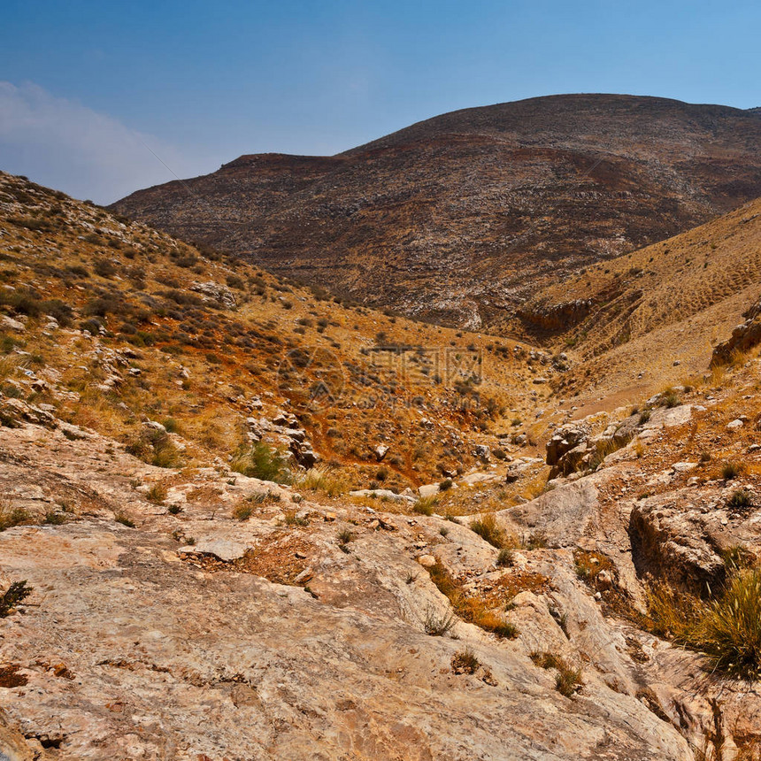 以色列在约旦河西岸的地貌景观图片