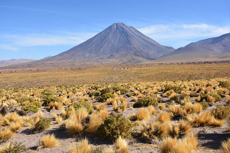 智利阿塔卡马沙漠的图片
