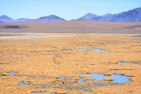 智利阿塔卡马沙漠的令人惊叹的湖泊长龙自然山脉火图片