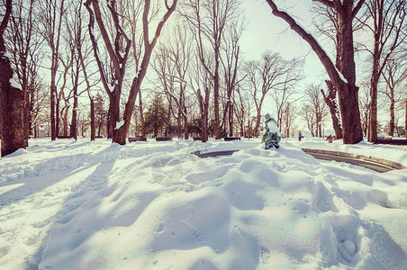 在雪下的城市公园的喷泉注图片