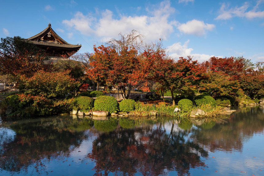 日本京都Tji寺的秋季花园和木制神社图片