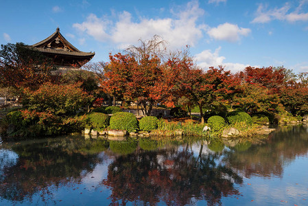 日本京都Tji寺的秋季花园和木制神社图片