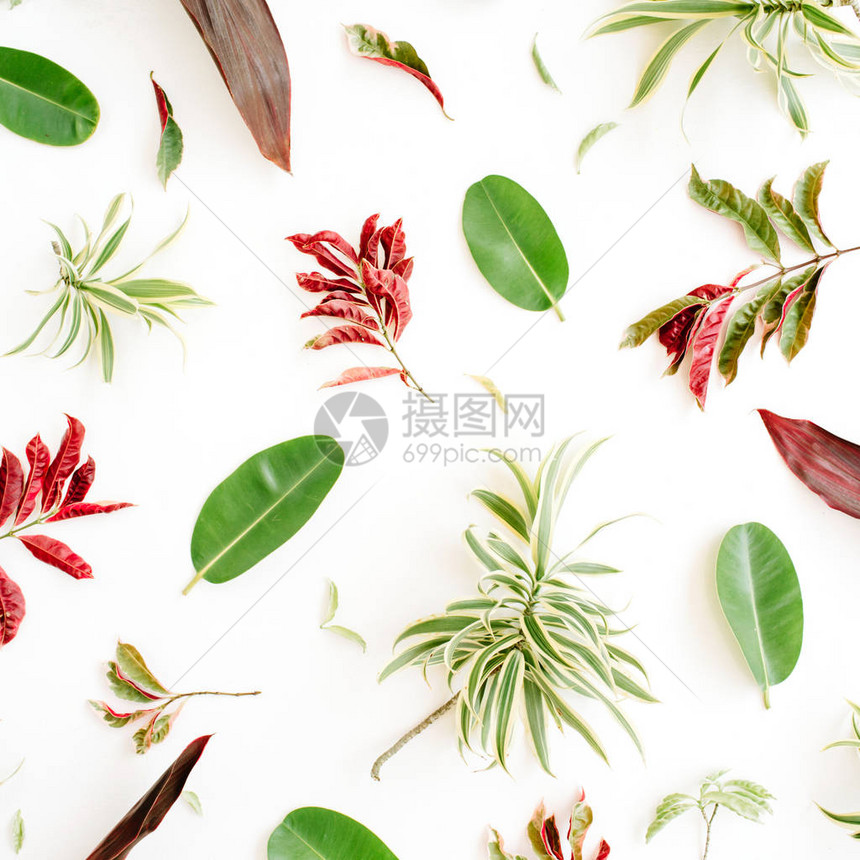 白色背景上的红色和绿色花瓣和叶子平躺图片