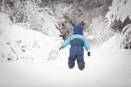 冬天男孩在大雪中玩耍考卡西亚小图片