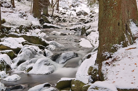 冬天在巨人山的小溪图片