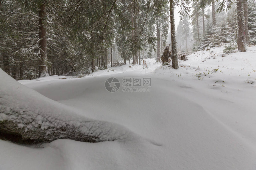 大雪纷飞的冬季风景森林中的旧木屋图片