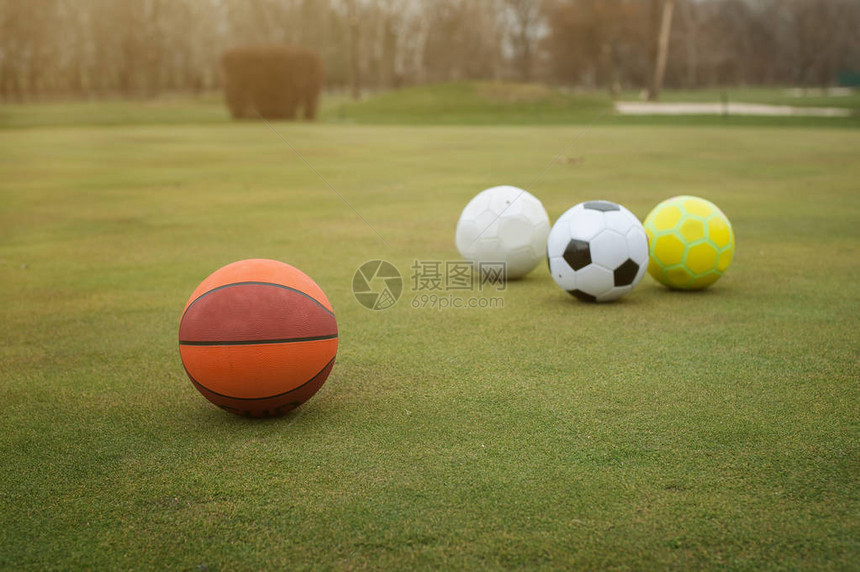 草地上的各种运动球图片