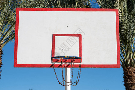 篮球板在手掌背景图片