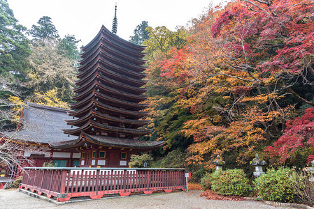 秋天在日本纳拉县坦背景图片