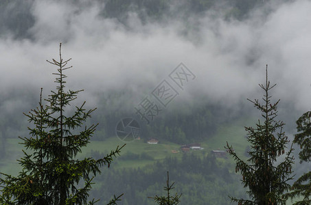 山谷和春天的浓雾图片