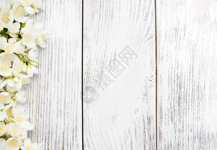木质背景上的茉莉花边框背景图片