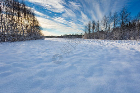 美丽的冬季田地道路和树木景观雪覆图片