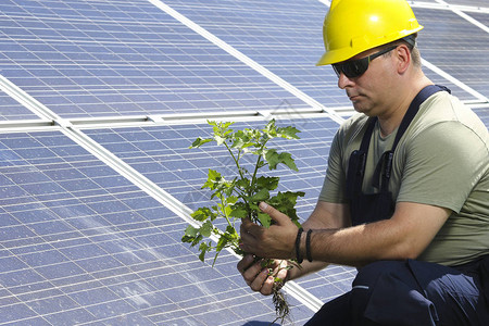 绿色能源工程师在太阳能电池板图片