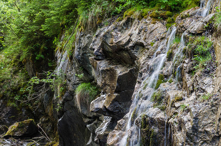 山中的小瀑布和绿色自然图片