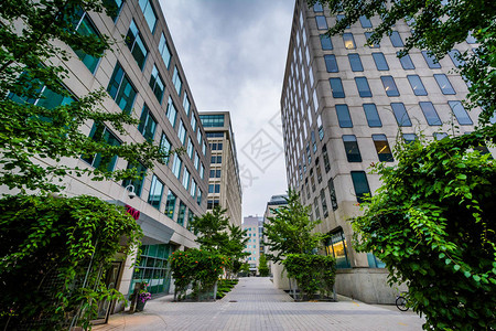 马萨诸塞州桥的Pedestrian图片