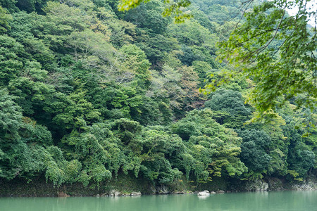 日本林山湖地图片