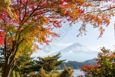 秋季富士山图片