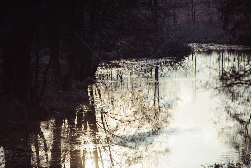 春天日落时湖中倒影的剪影图片