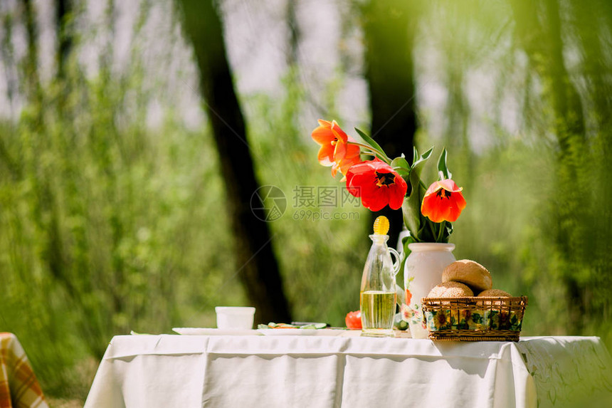 野餐和户外蔬菜一起吃健康野餐图片