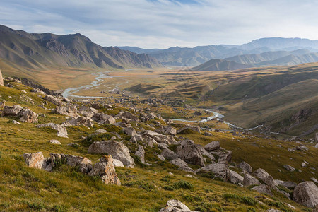 蒙古乌科克高原阿尔泰西伯利亚俄罗斯附近高地草原上干黄草甸中图片