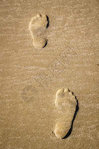沙滩上沙子里的脚步声图片