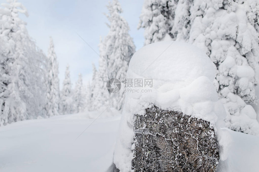 冬季风景布满大雪地暴雪过后霜图片