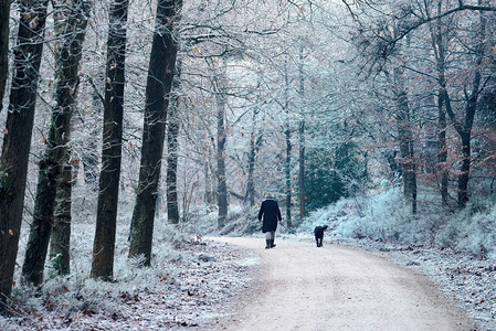 女人和狗一起走在冬季森林的图片