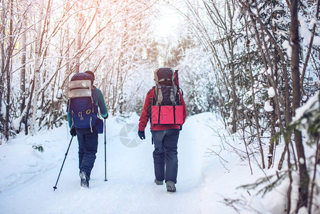 日落时在树上走雪路概念是冬季步行和积极的冬季生活方式的旅游男图片