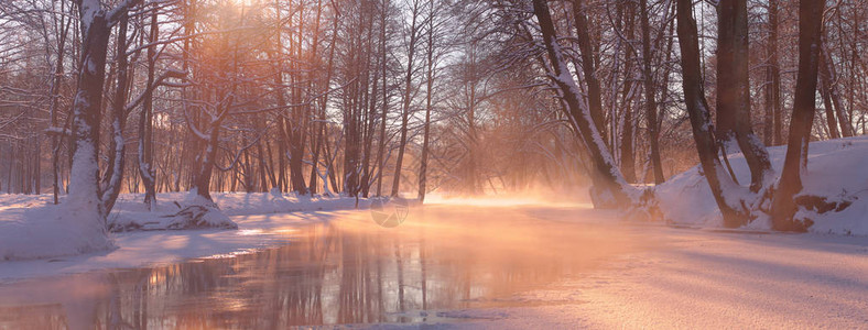 阳光明媚的冬天背景美丽的冬季景观与太阳光束明亮的阳光透过雾照亮图片