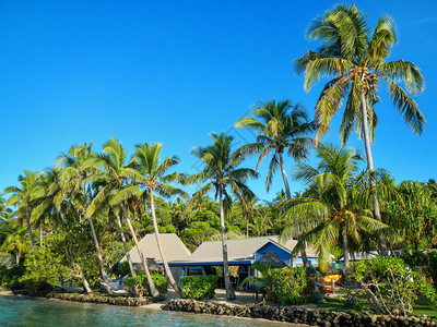 斐济NananuiRa岛的度假村周围有棕榈树背景图片