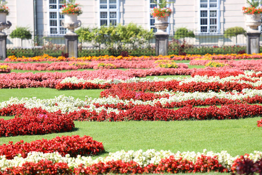 夏天在欧洲城市的公园里有许多花坛的花园图片