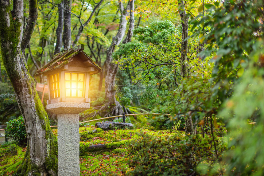 日本风格的花园秋天有石灯潮湿的苔在图片