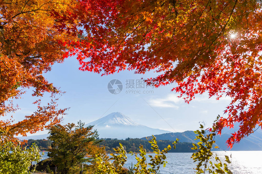 富士山和红叶图片