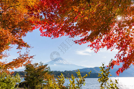 富士山和红叶图片