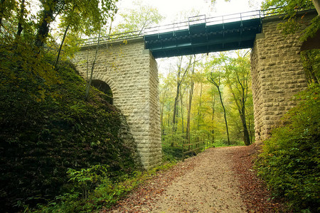 秋季森林中的高架桥图片