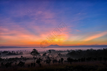 泰国ThungSalaengLuang公园林中美丽的日出和图片
