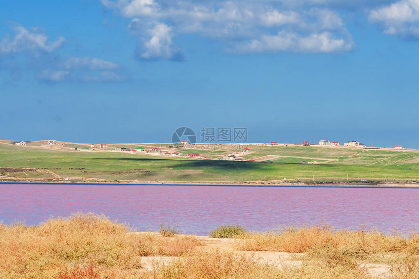阿塞拜疆的粉红色盐湖Masazirgol世界上八个粉图片