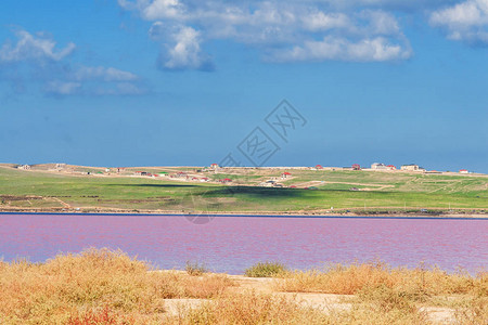 兰戈里粉阿塞拜疆的粉红色盐湖Masazirgol世界上八个粉背景