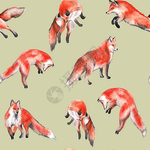 背景与狐狸无缝模式图织物水彩插图图片