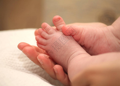 小新生婴儿脚在女手中图片
