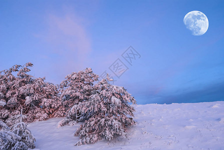 半月在下雪图片