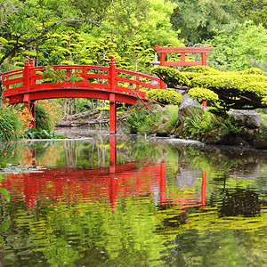 日本花园的红桥横过日图片