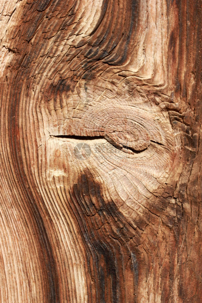 木材纹理的自然背景图片