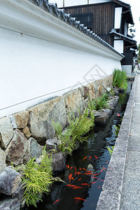 锦鲤日本花园和河运图片