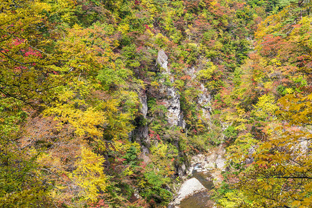 秋季的鸣子峡谷背景图片